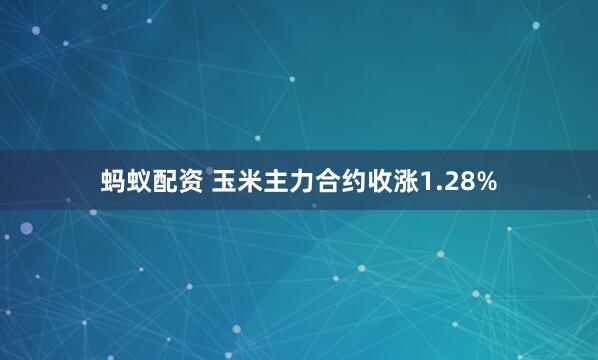 蚂蚁配资 玉米主力合约收涨1.28%