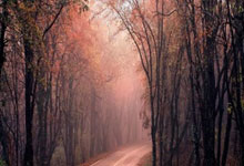 股票怎么加杠杆操作:在手机怎么卖股票-浮盈超80亿元！公募豪掷174亿元参与定增